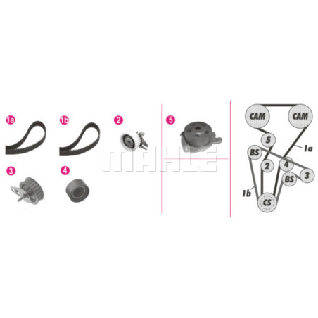 Pompe à eau + kit de courroie de distribution BEHR *** PREMIUM LINE ***